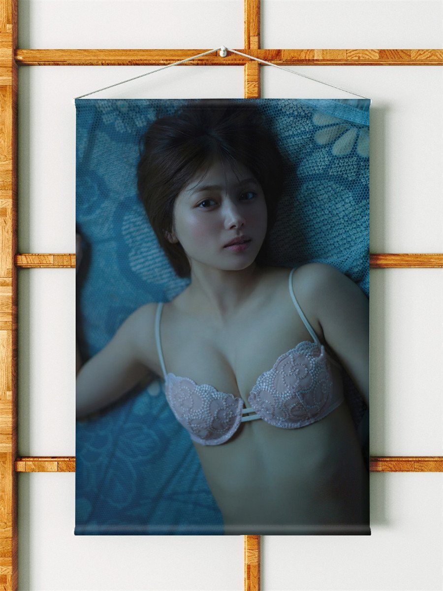  север .../B2 размер / двойной замша ткань / прекрасное качество / гобелен 