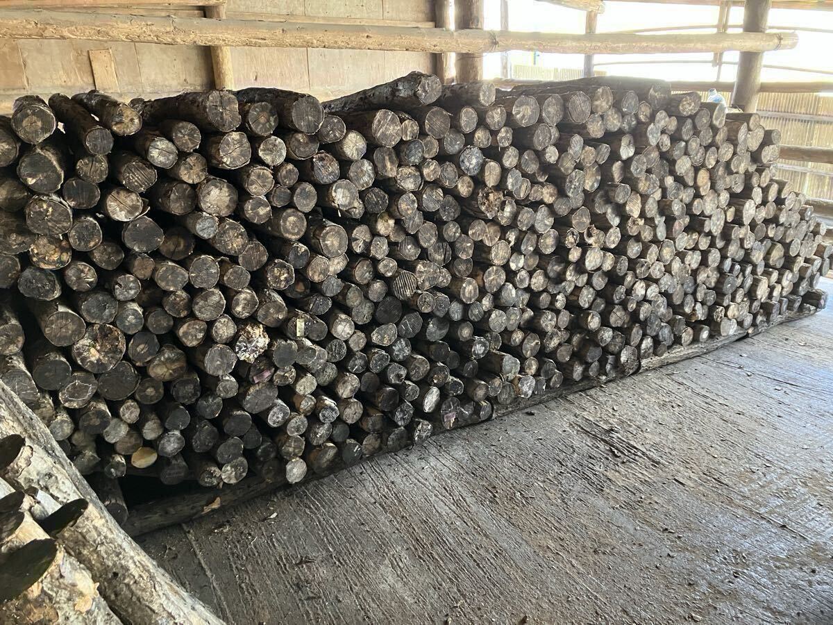 C-002 производство яйцо дерево B*C класс супер мягкость .~.. дуб конара 18шт.@( Iwate префектура производство ) сервис есть 