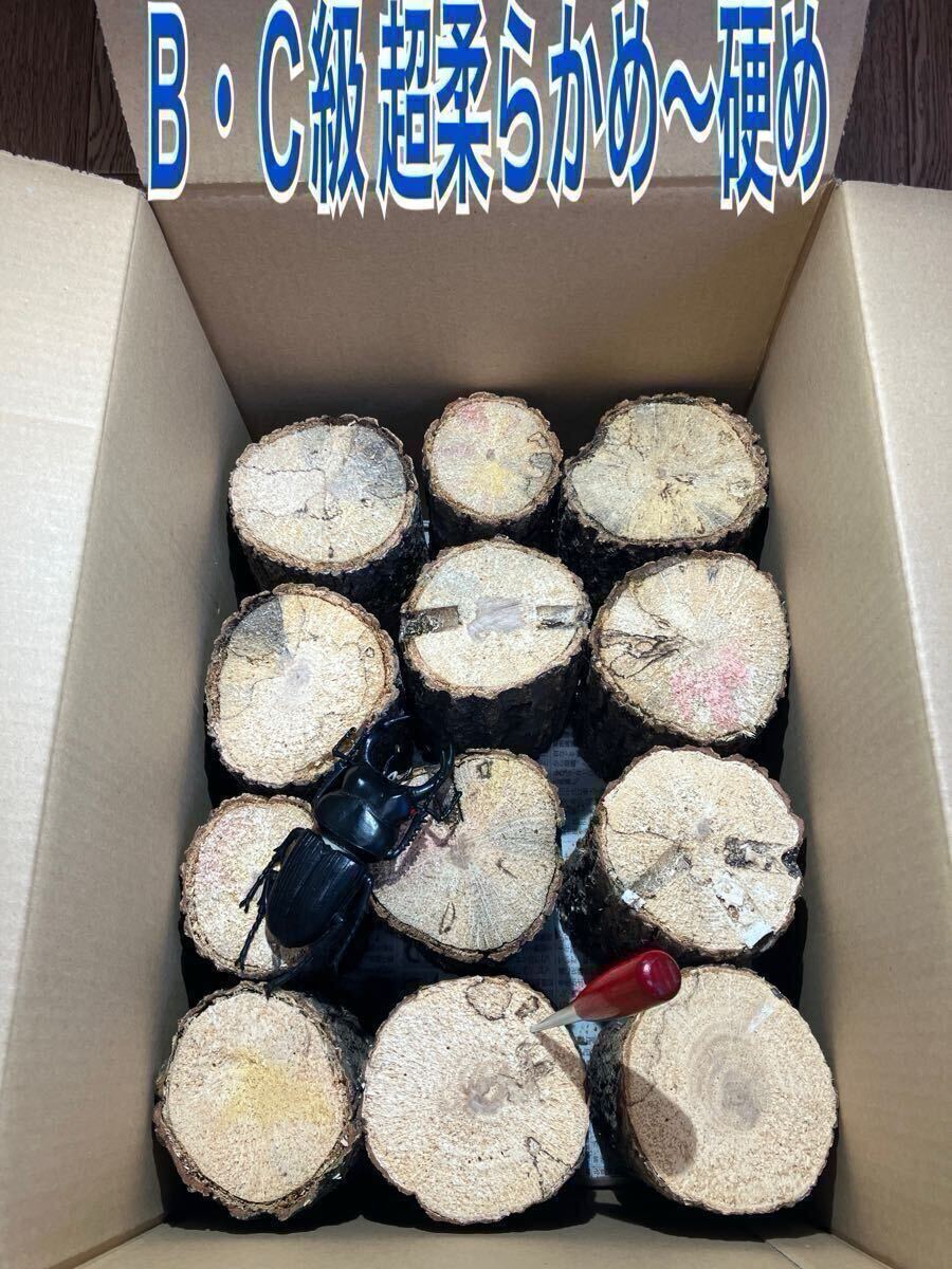 C-002 производство яйцо дерево B*C класс супер мягкость .~.. дуб конара 18шт.@( Iwate префектура производство ) сервис есть 