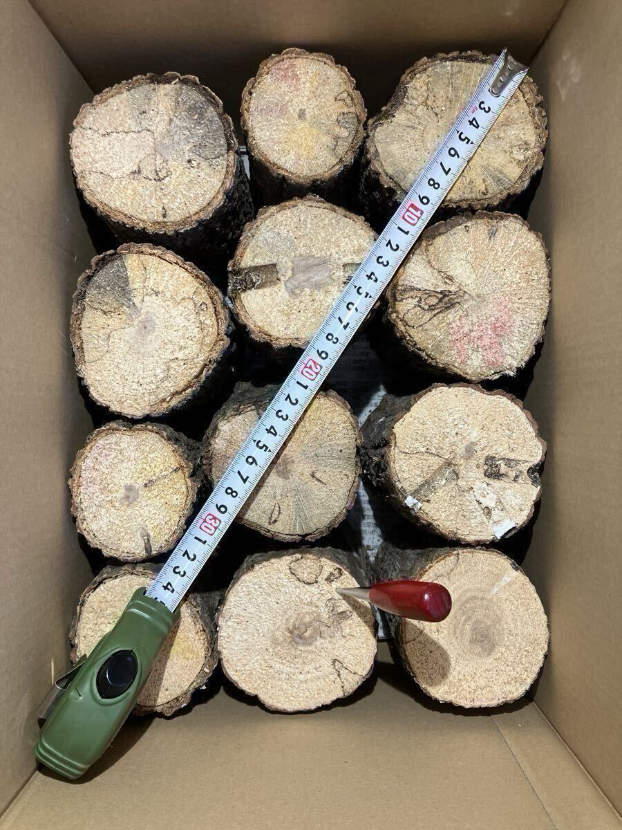 C-002 производство яйцо дерево B*C класс супер мягкость .~.. дуб конара 18шт.@( Iwate префектура производство ) сервис есть 