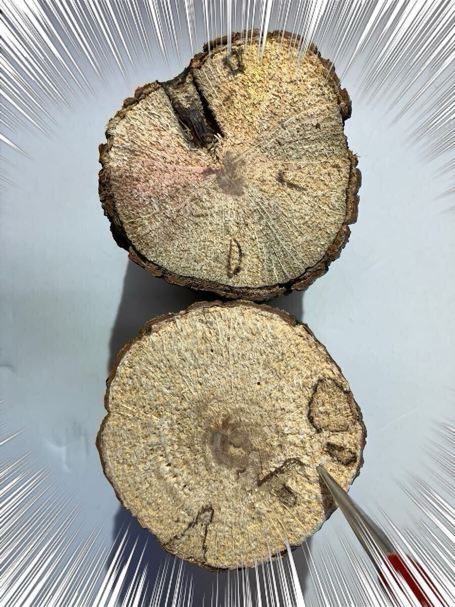 C-002 производство яйцо дерево B*C класс супер мягкость .~.. дуб конара 18шт.@( Iwate префектура производство ) сервис есть 