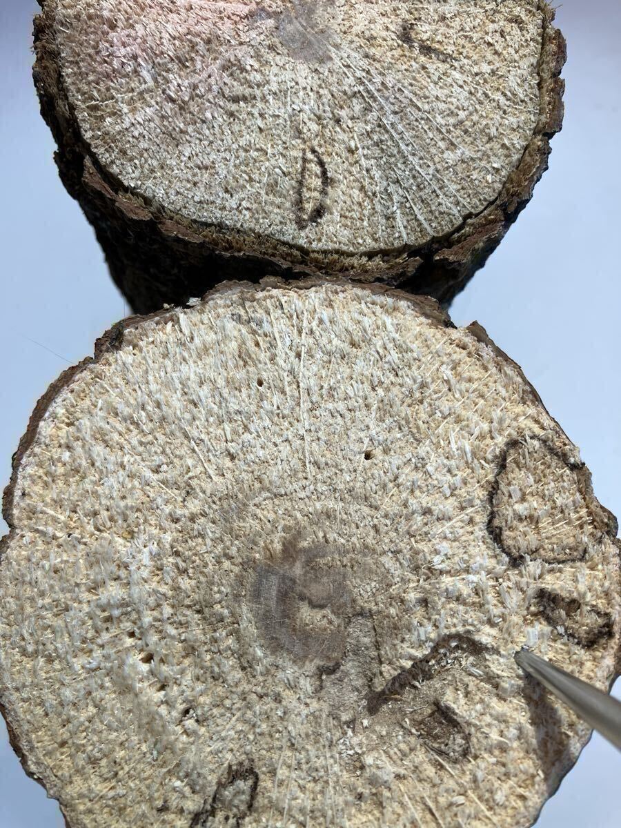 C-002 производство яйцо дерево B*C класс супер мягкость .~.. дуб конара 18шт.@( Iwate префектура производство ) сервис есть 