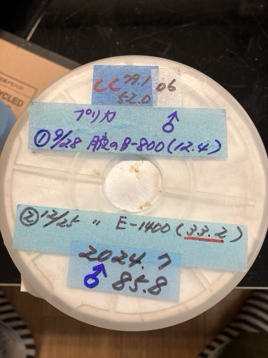 C-002 производство яйцо дерево B*C класс супер мягкость .~.. дуб конара 18шт.@( Iwate префектура производство ) сервис есть 