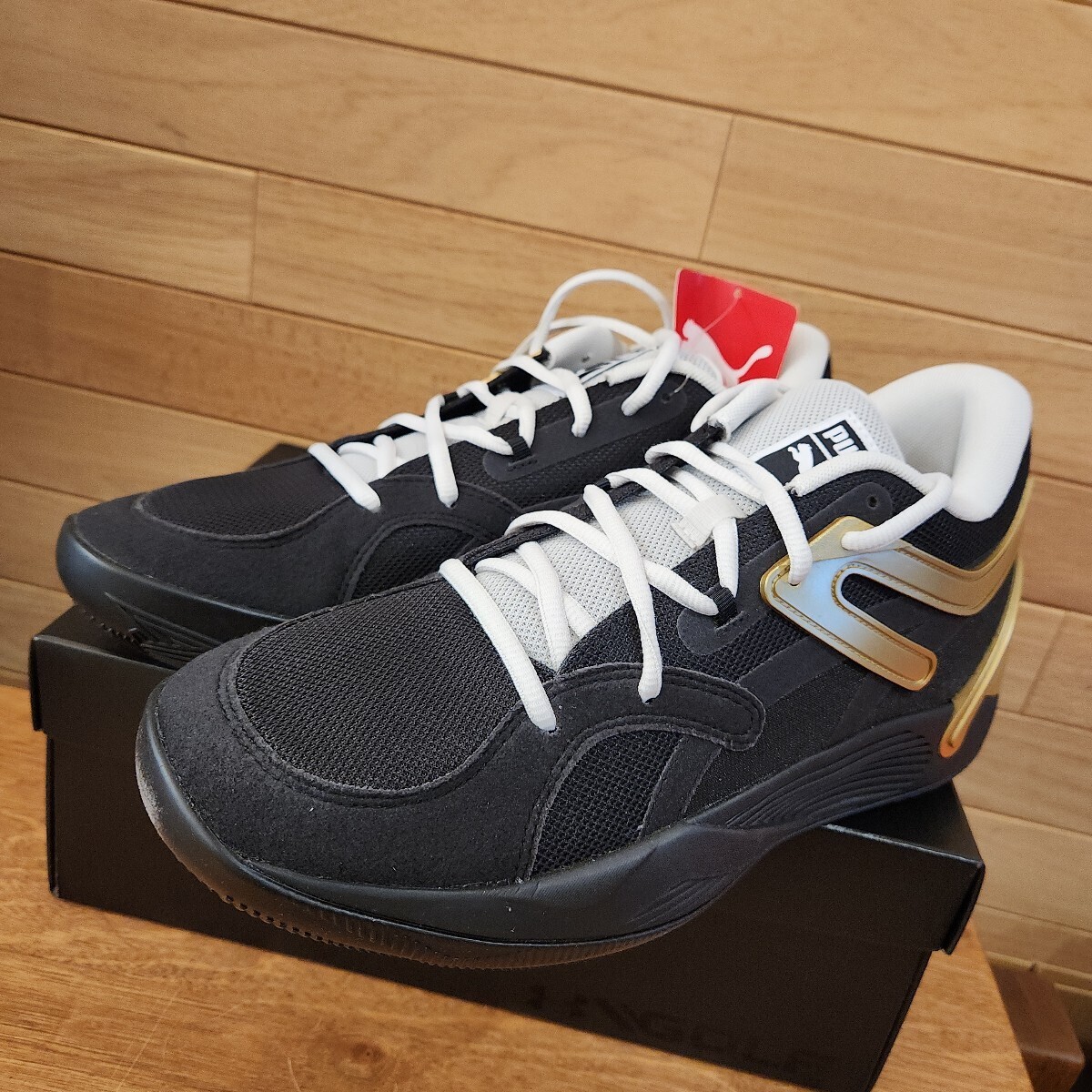 28cm новый товар стандартный товар Puma (PUMA) TRC BLAZE COURT TRC Blaze пальто 376582 мужской bashu: черный Gold 