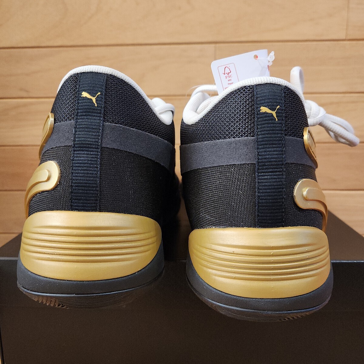 28cm новый товар стандартный товар Puma (PUMA) TRC BLAZE COURT TRC Blaze пальто 376582 мужской bashu: черный Gold 