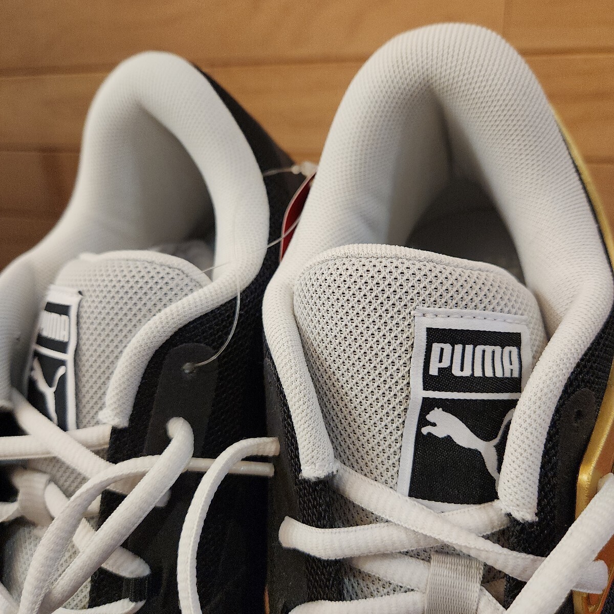 28cm новый товар стандартный товар Puma (PUMA) TRC BLAZE COURT TRC Blaze пальто 376582 мужской bashu: черный Gold 