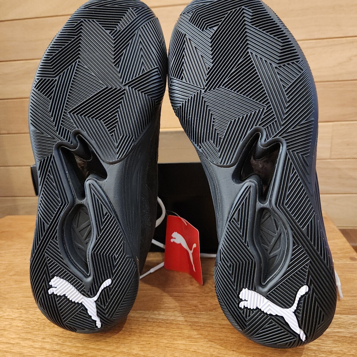 28cm новый товар стандартный товар Puma (PUMA) TRC BLAZE COURT TRC Blaze пальто 376582 мужской bashu: черный Gold 