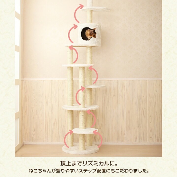 mybest_5848 Mauタワー トルテ キャットタワー ホワイト_画像3