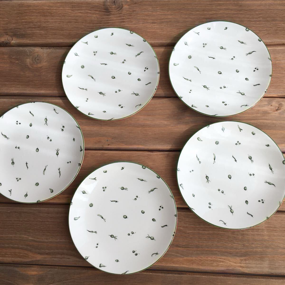 NIKKOニッコーサラミッダSara middaプレート5枚セット ベジタブル_画像1