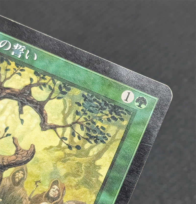 MTG EXO 日本語版 ドルイドの誓い/Oath of Druids ヘビープレイド_画像5