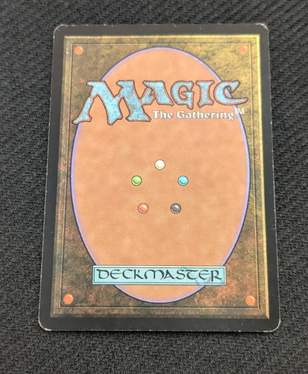 MTG EXO 日本語版 ドルイドの誓い/Oath of Druids ヘビープレイド_画像2