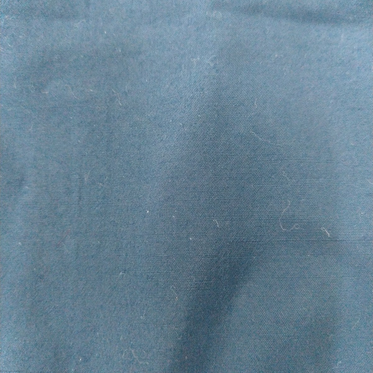 パタゴニア　袋_画像4