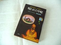 . трещина . средний двор . трещина . средний двор