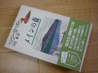  основной. лес 