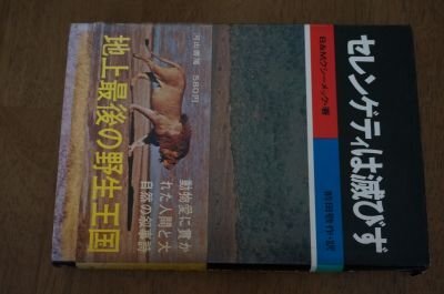 se китайский астрагал ti. ...- наземный последний. . сырой королевство se китайский астрагал ti. ...- наземный последний. . сырой королевство