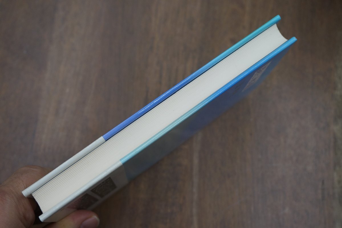 ◎詩と永遠　辻邦生　岩波書店　1988年初版|送料185円_画像4