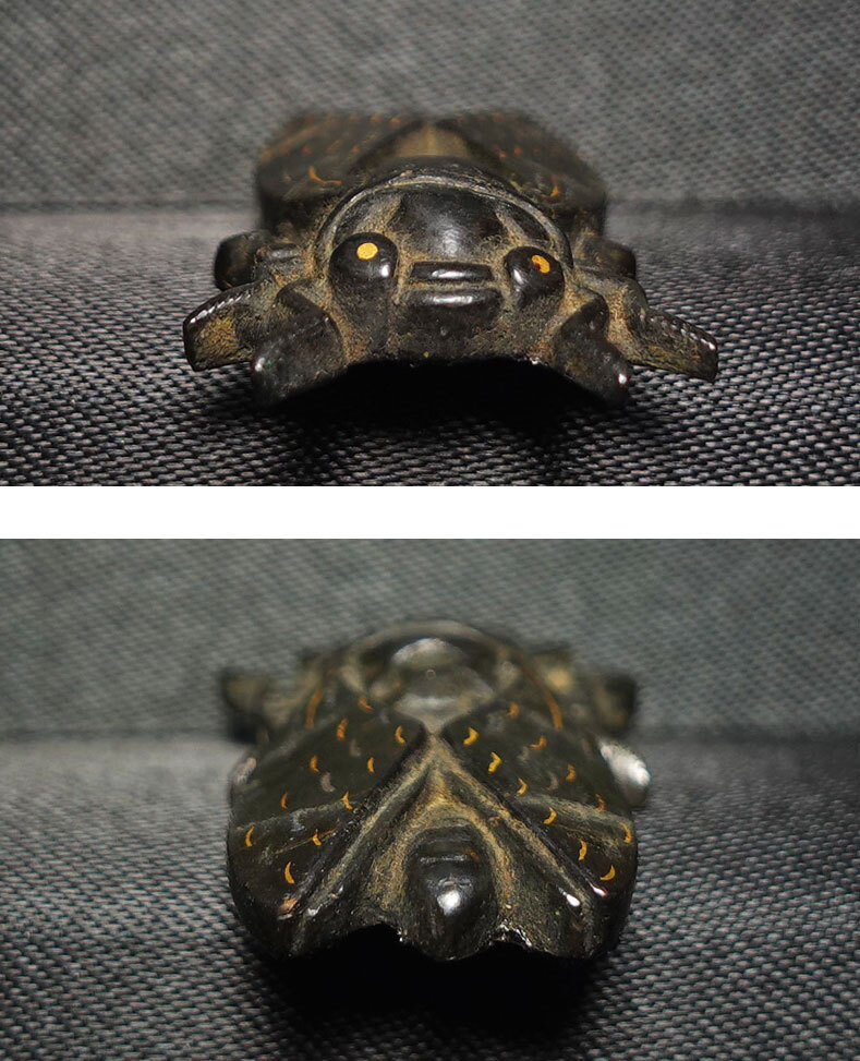 ★人気のセミ図 赤銅地容彫蝉図目貫 無銘 高肉彫 金銀象嵌 毛彫 刀装具 再生復活 cicada 蝉時雨 桐箱入_画像5