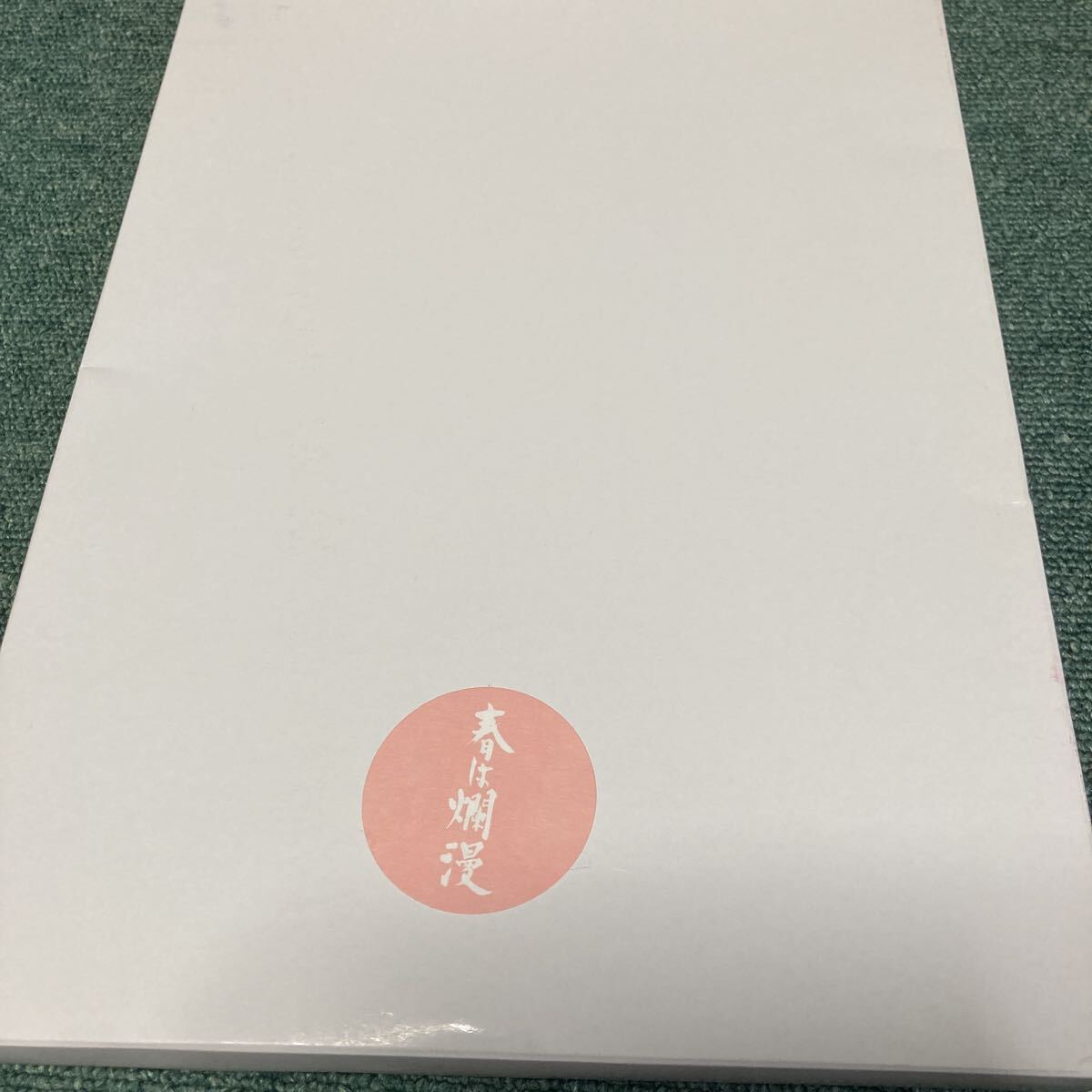 非売品 春は爛漫 森光子/東山紀之 映画　グッツ　バインダー　ファイル_画像4