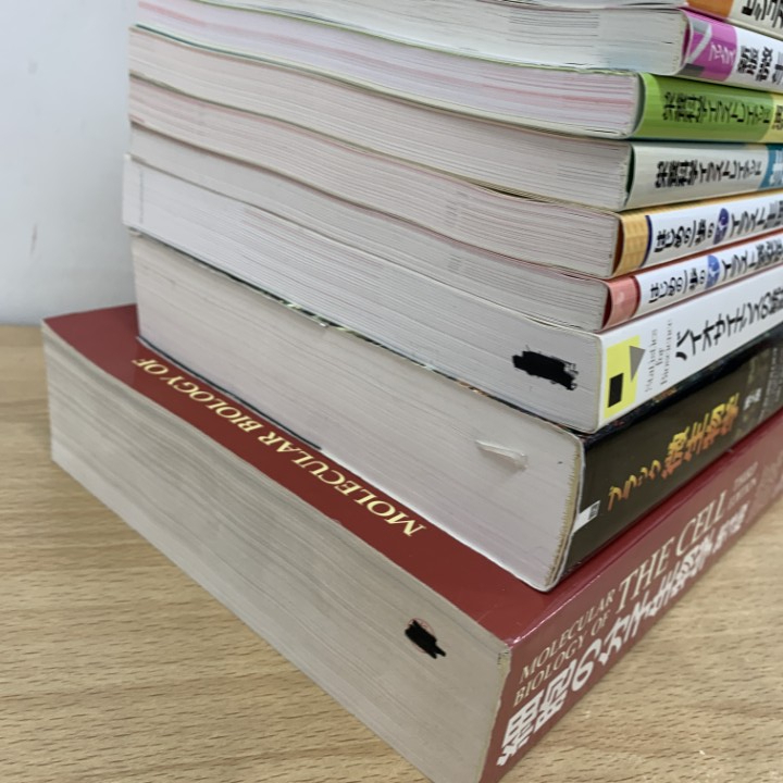 ■01)【1点限り!】生化学・生物学専門書 まとめ売り約20冊セット/本/バイオサイエンス/分子細胞/微生物学/感染症/生理学/実験/画像解析/B_画像5