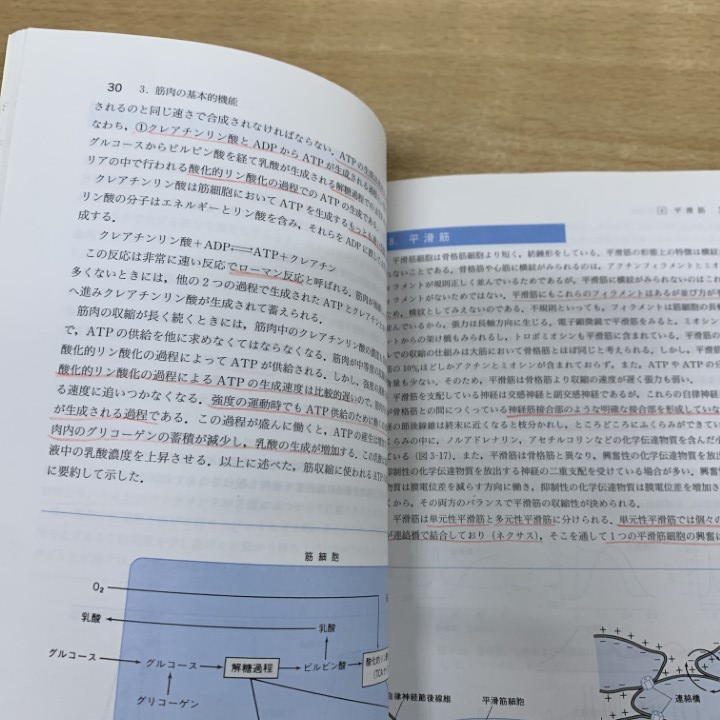 ■01)【1点限り!】生化学・生物学専門書 まとめ売り約20冊セット/本/バイオサイエンス/分子細胞/微生物学/感染症/生理学/実験/画像解析/B_画像7