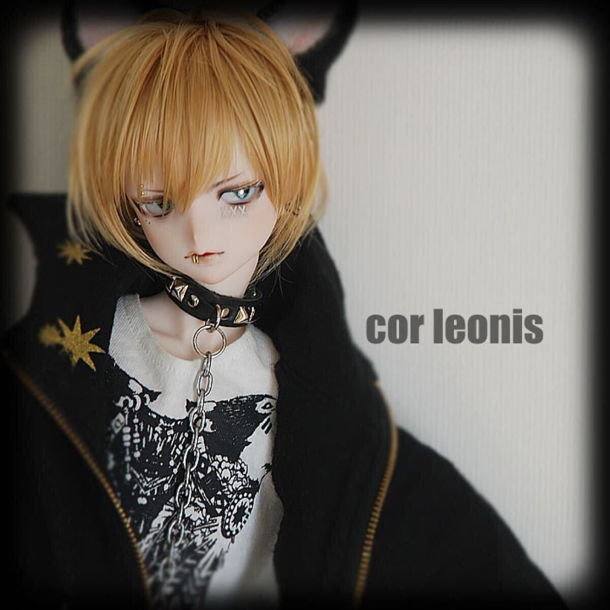 【cor leonis】DDH-09 カスタムヘッドパテ盛り(SW肌)+手描きアイ 難あり_画像5