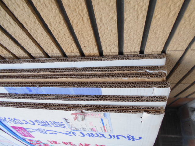 中古 段ボール箱 7箱セット 43㎝×37..5cm×21cm _画像4