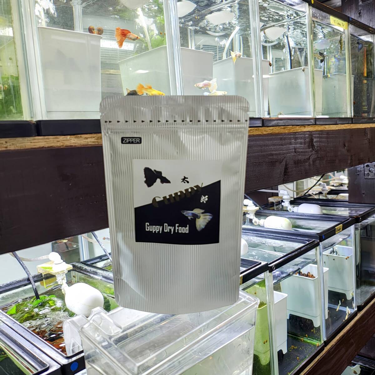 [ Guppy Taro ] Guppy маленький размер аквариумная рыбка сухой приманка Guppy Dry Food 100g