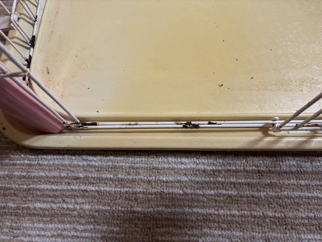 アイリスオーヤマ　カラーサークル　屋根付き_画像5