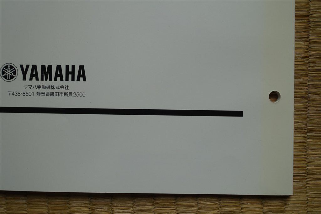 ヤマハ船外機 FT9.9L（6EA1）パーツカタログ古本　（2013年3月発行）_画像8