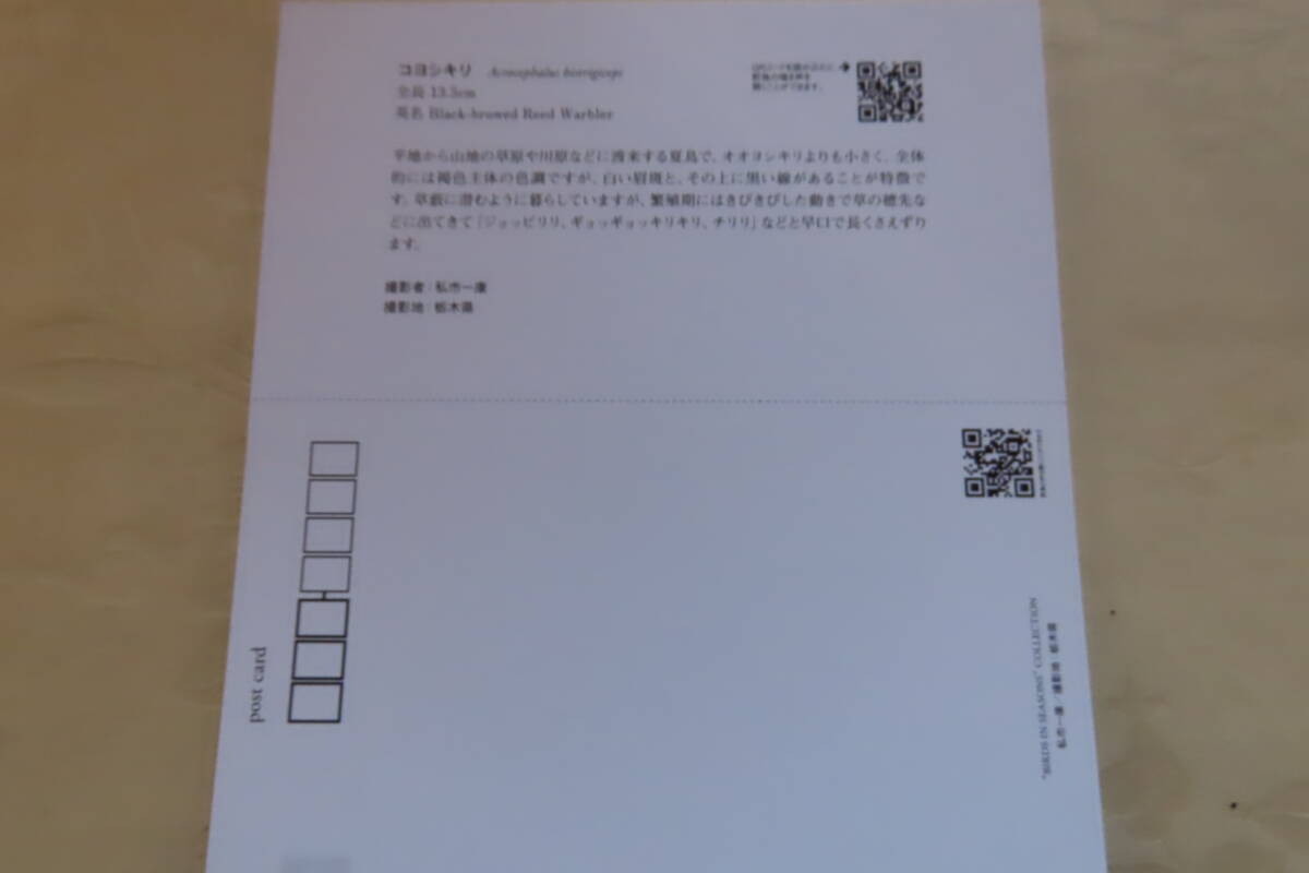  Япония дикая птица. .2026 календарь BIRDS IN SEASONS обычная цена 1320 иен новый товар 