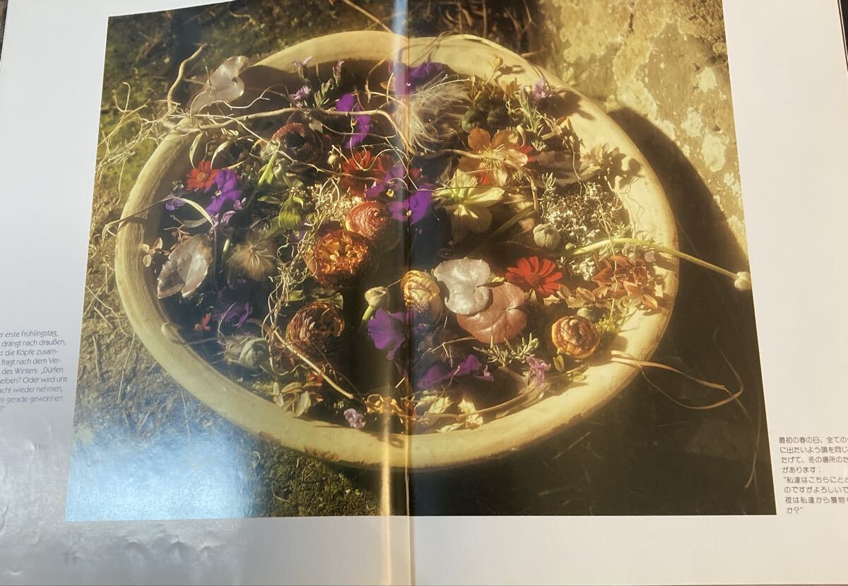 GREGOR LERSCH グレゴール レルシュ 「私の花弁装飾技術のみなもと」　フラワーアレンジメント　写真集【中古品】_画像6