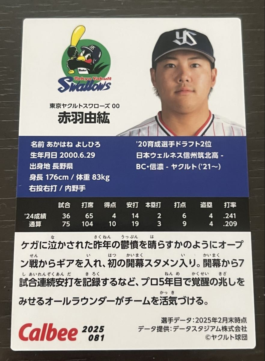 同梱可能☆カルビー プロ野球チップス☆2025年 東京ヤクルトスワローズ 赤羽 由紘内野手ノーマルカード_画像2