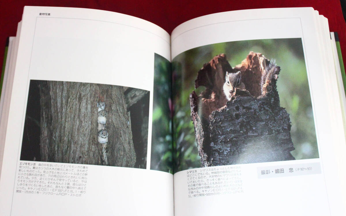 新アサヒカメラ講座3 【動植物写真編】 朝日新聞社_画像9