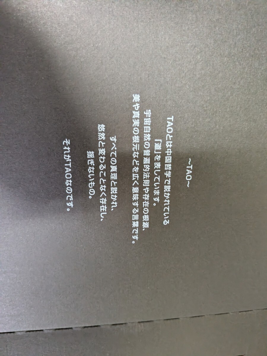 TAOko Ran toteTAO колье тонкий