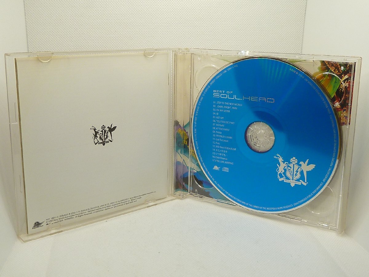 <CD+DVD>Best of SOULHEAD_画像4
