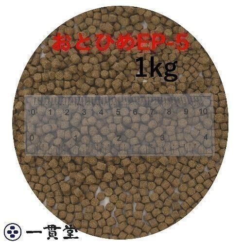 o...EP5( примерно 4.3mm~ примерно 5.1mm) 1kg(500g×2 пакет )...(. внизу .) день Kiyoshi круг .. стоимость золотая рыбка аравановые мясо еда рыба .