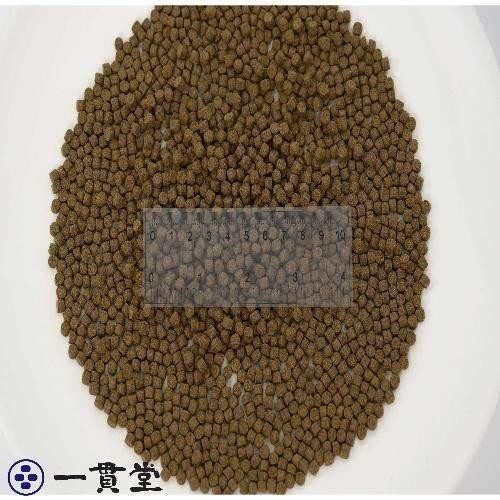 o...EP5( примерно 4.3mm~ примерно 5.1mm) 1kg(500g×2 пакет )...(. внизу .) день Kiyoshi круг .. стоимость золотая рыбка аравановые мясо еда рыба .