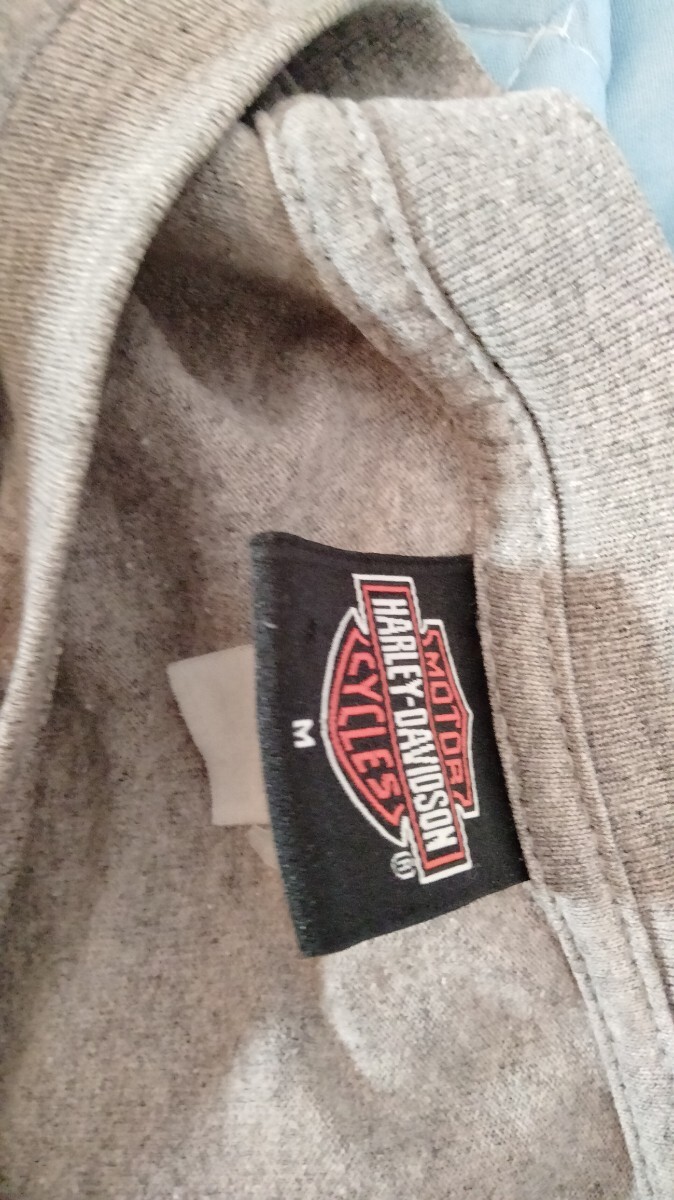 90s 00s ハーレーダビッドソン ロングスリーブTシャツ Harley-Davidson Mサイズ ロングTシャツ ロンT HOLOUBEK バイク 古着_画像9
