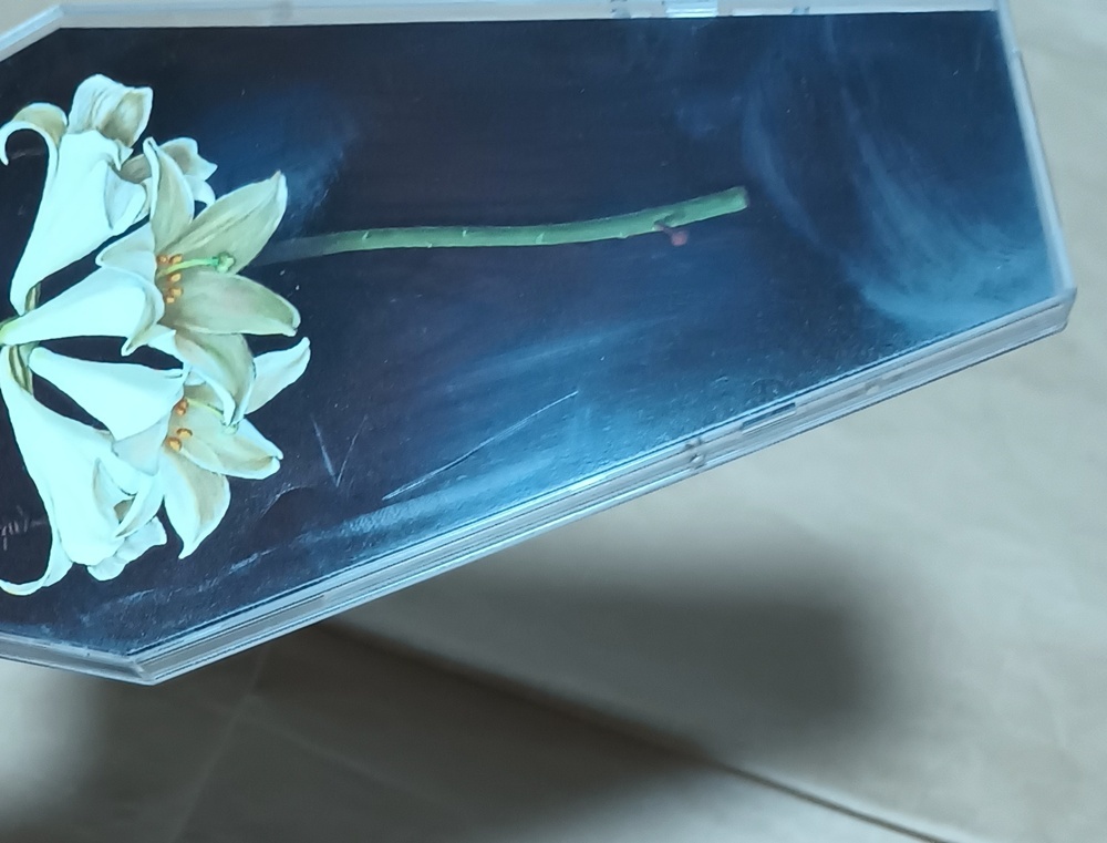 【HYDE/SHALLOW SLEEP 初回限定盤8cmシングル 棺桶型ケース仕様】L'Arc～en～Ciel_画像4