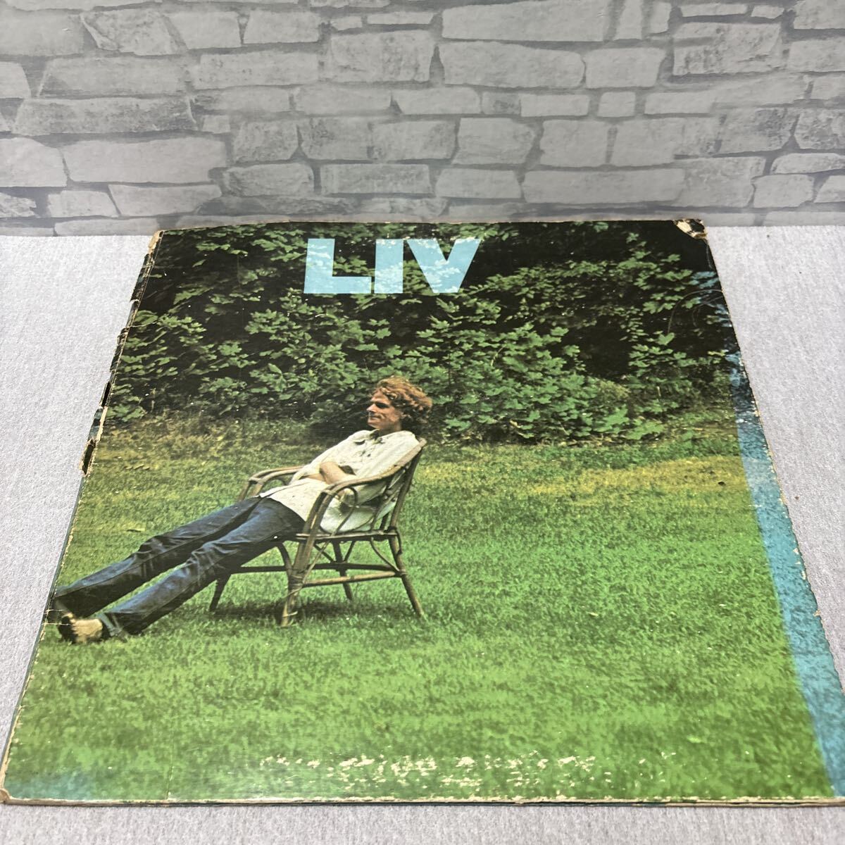 Livingston Taylor Liv【LP】US盤_画像1