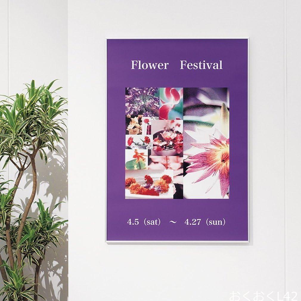 ソフケン ポスターパネル スリムエイトB2_画像6