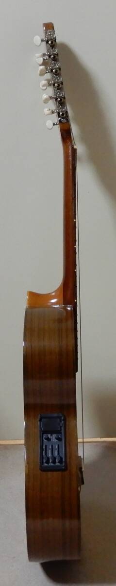 ti pre Junk 12 струна 4 course электроакустическая гитара boli Via производства укулеле гитара мягкий чехол & с ремешком редкость музыкальные инструменты 