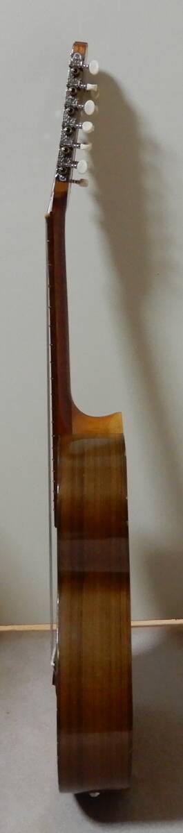 ti pre Junk 12 струна 4 course электроакустическая гитара boli Via производства укулеле гитара мягкий чехол & с ремешком редкость музыкальные инструменты 