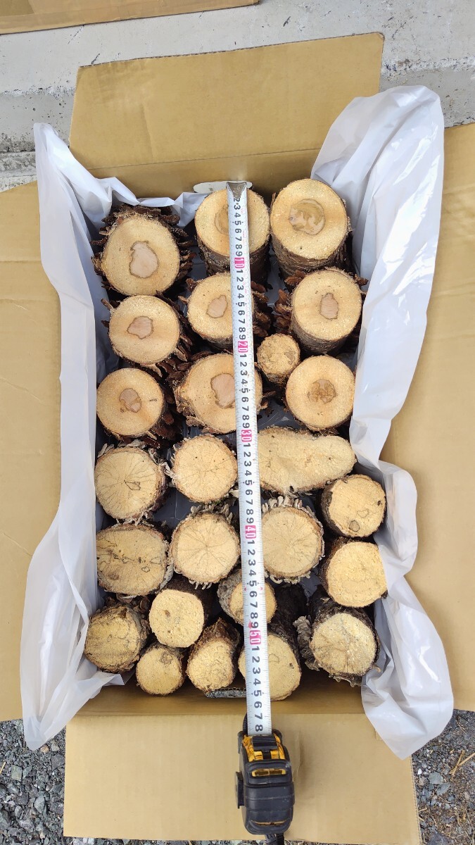 [ натуральный кожа la материал ]25шт.@ совместно оплата доставки при получении 