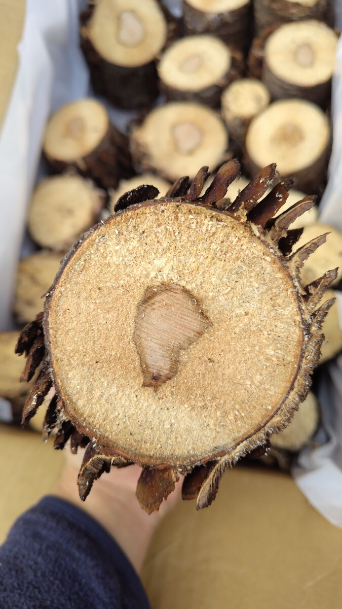 [ натуральный кожа la материал ]25шт.@ совместно оплата доставки при получении 