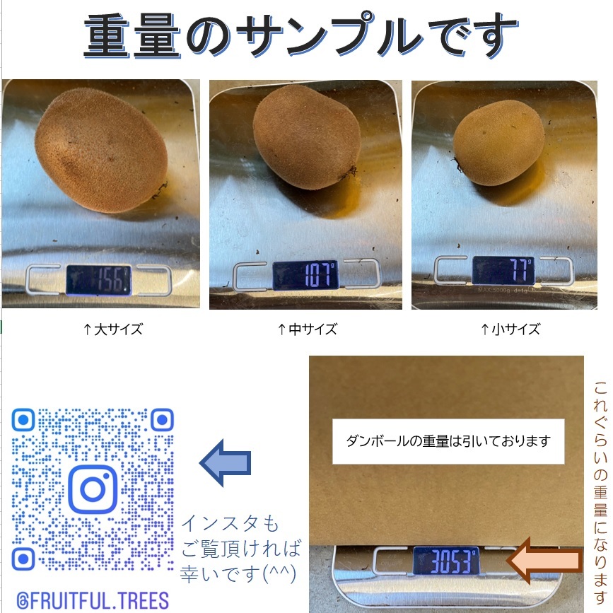 ^ бесплатная доставка ^ Gold киви [ товар вид : jumbo желтый ] примерно 3kg(2)