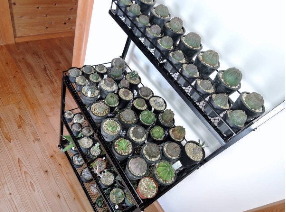  сборка тип 4 уровень стальная стойка растения полки легкий 14kg железный подставка железный полка botanikaru полка высота 180cm ширина 80cm