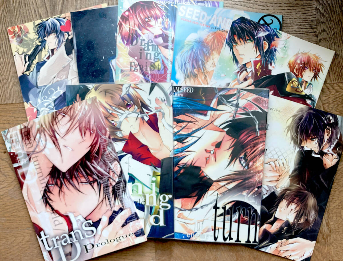  Gundam SEED Destiny журнал узкого круга литераторов *askila комплект . гнездо ...