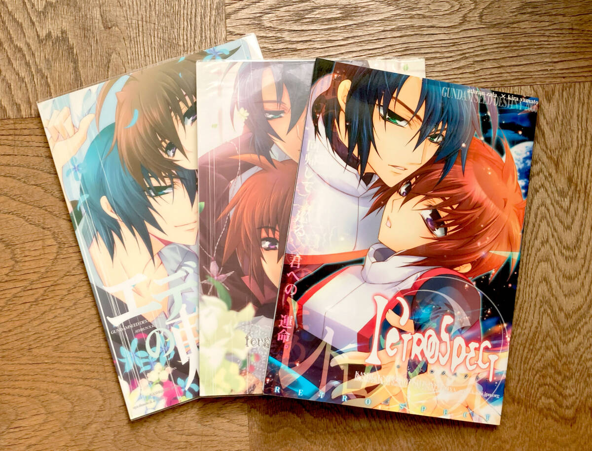  Gundam SEED Destiny журнал узкого круга литераторов *askila комплект . гнездо ...