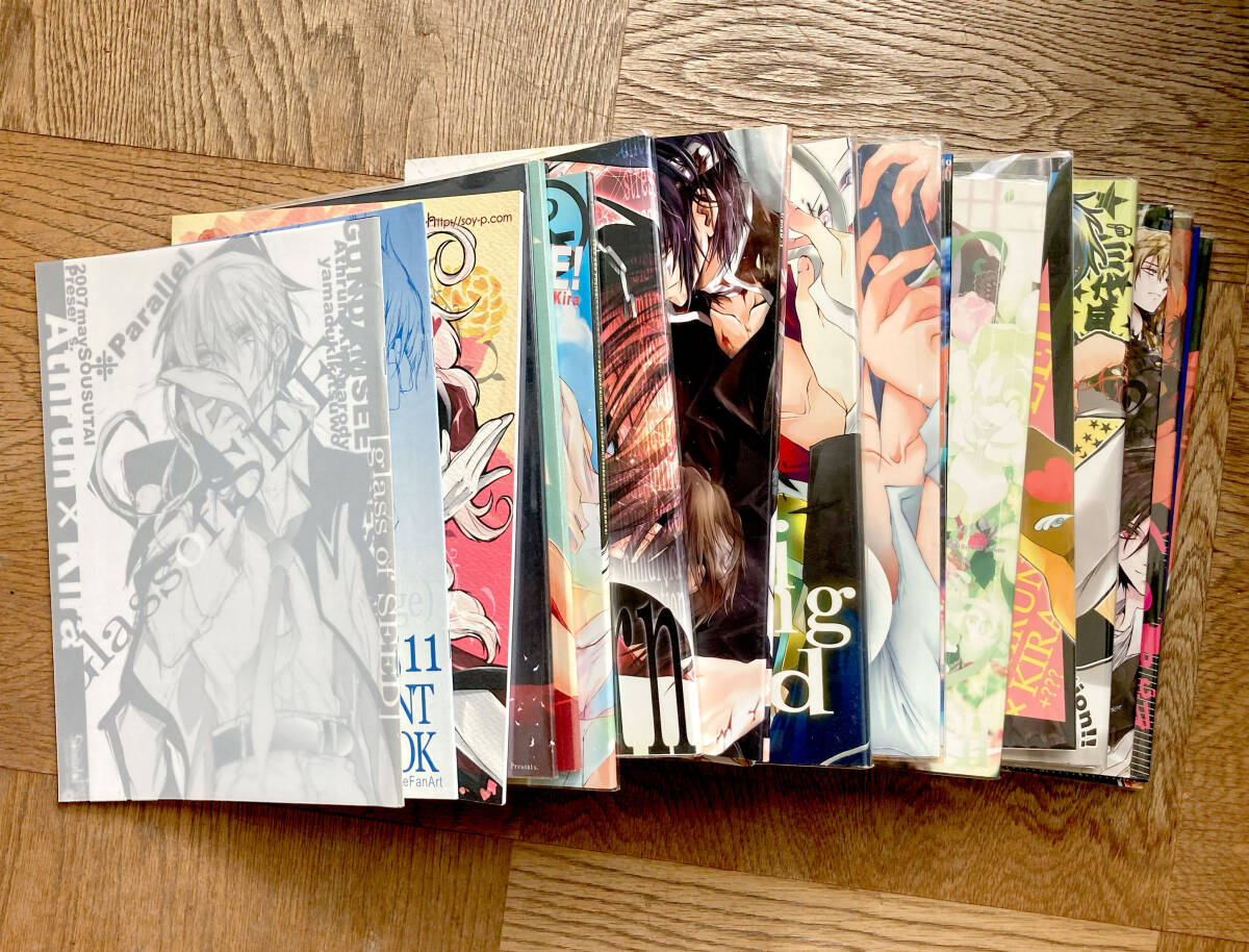  Gundam SEED Destiny журнал узкого круга литераторов *askila комплект . гнездо ...